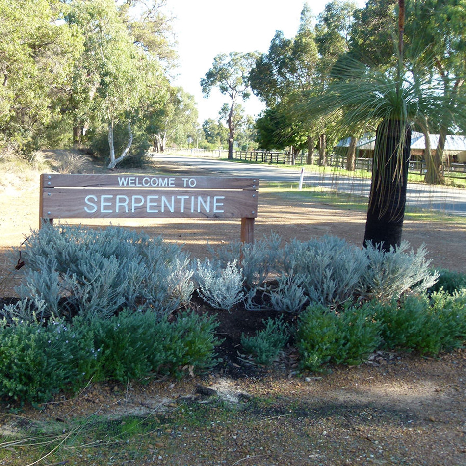 Decorative Image Only