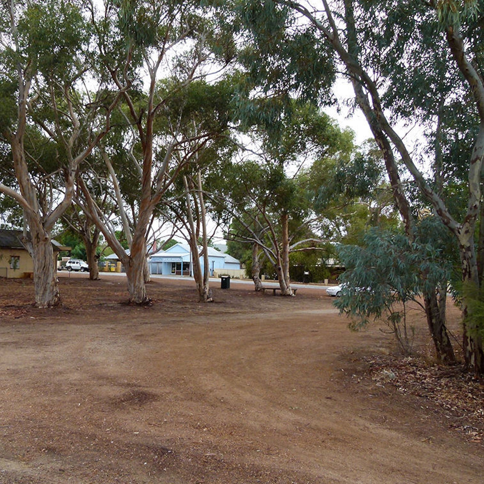 Decorative Image Only