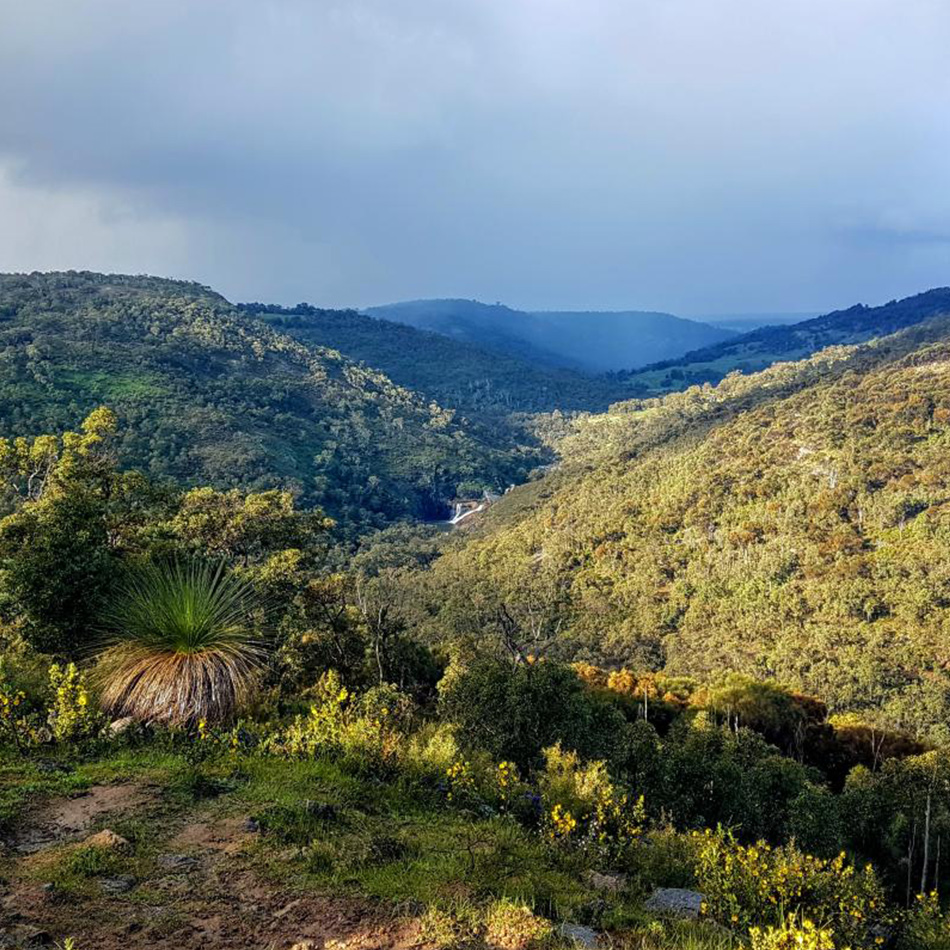 Decorative Image Only