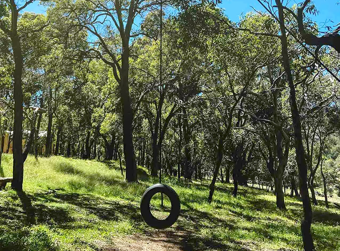 Decorative Image Only